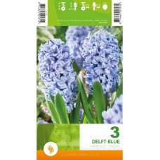 Зюмбюл "Делфт" Син / Hyacinthus Delft Blue - 3 бр луковици