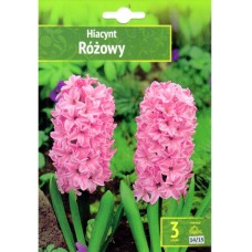 Зюмбюл Източен Розов / Hyacinthus orientalis Różowy - 3 бр луковици