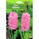 Зюмбюл Източен Розов / Hyacinthus orientalis Różowy - 3 бр луковици